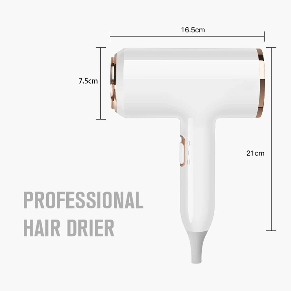 F33 T821 Professional Hair Dryer Hot Cold Wind Air Brush Hairdryer Negative Lonic Blow Dryer Strong PowerDryer Salon Tool 2400W